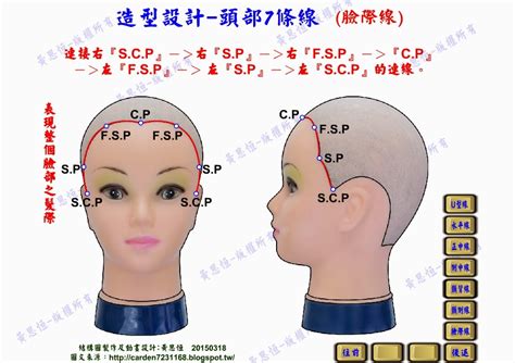 頭部七條基準線|修剪基礎：頭部點與線